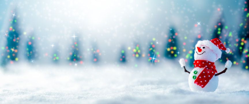 happy snowman in a winter wonderland